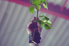 Eisheilige Nacht - Hessenhalle Gießen - 22.12.2017 - Subway to SallyDSC_3691