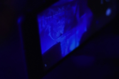 DWEF_08_DWE_7957