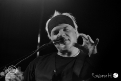 23.10.2015-Fish&Frriends_hameln_DSC1526 - Kopie