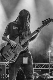 Wehmut-Baphofest-Summernights-Posthalle-Wuerzburg-24-05-2025-MM-BS1_5857-Verbessert-RR