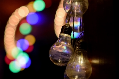 FFT-24.-August-2019-109