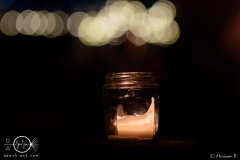 FFT-24.-August-2019-113