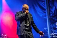 Mosaic-Wolfszeit-Festival-24-08-2023-MM-1347-denoised