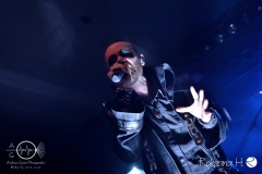 Manimal_MannheimBBB_5519