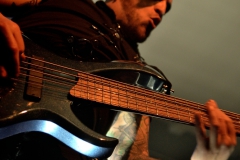 Manimal_MannheimBBB_5540