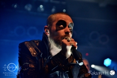 Manimal_MannheimBBB_5551