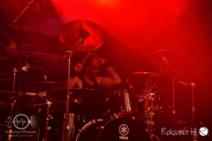 Manimal_MannheimBBB_5642