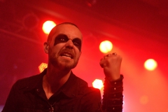 Manimal_MannheimBBB_5780