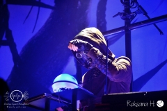 subway-to-sally_wiesbaden-2017-DSC_0684