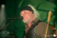 subway-to-sally_wiesbaden-2017-DSC_0788