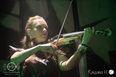 subway-to-sally_wiesbaden-2017-DSC_0812