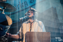 Mr-Hurley-Eisheilige-Nacht-Wuerzburg-27-12-2022-MM-1404-denoised