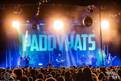 Paddyhats-Eisheilige-Nacht-2024-Posthalle-Wuerzburg-27-12-2024-MM-EH1_2972-Verbessert-RR