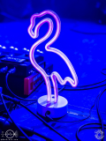 Frido-Colos-Saal-Aschaffenburg-28-12-2024-TF-2