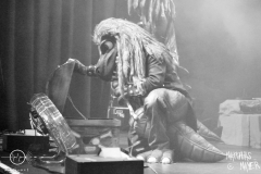 Heavysaurus_008_HSW_5194