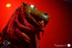 Heavysaurus_HSW_5231