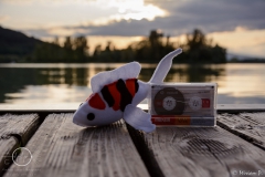 3.-Kimkoi-Fantreffen-7.09.2019-Werratalsee-Naturcamp-Meinhard-Schwebda-1