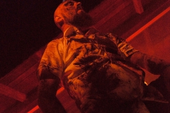 DT_Finsterforst_01_DTF_9818