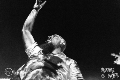 DT_Finsterforst_04_DTF_9844