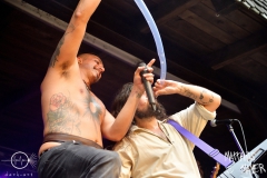 DT_Lagerstein_82_DTF_9260