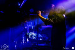 A-Swarm-of-the-Sun-Aschaffenburg-2024-rh-11