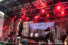 Mental-cruelty-Aaargh-Festival-2024-Do-rh-8813