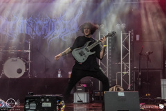 Mental-cruelty-Aaargh-Festival-2024-Do-rh-8837