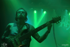 SOBAD2DSC_3686X-low-light