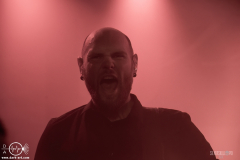 AephA061125DSC_0984X-low-light