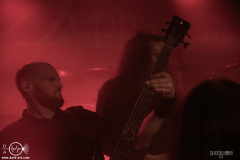 AephA061125DSC_1389X-low-light