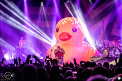alestorm-Wiesbaden-Schlachthof-Europa-Tour-27-01-2023-rh-EFF_0025-DeNoiseAI-severe-noise
