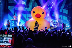 alestorm-Wiesbaden-Schlachthof-Europa-Tour-27-01-2023-rh-EFF_0096-DeNoiseAI-severe-noise