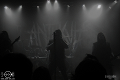 AntKvlt25DSC_3403X-low-light