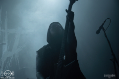 NOE25DSC_3410X-low-light