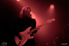 SOBAD2DSC_4401X-low-light