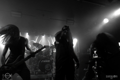 SOBAD2DSC_4527X-low-light