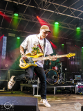 Blacktoothed-Dieburg-Traffic_Jam-SA-22-07-2022-TF-24
