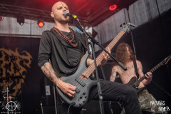 Totensucht-Boarstream-21-07-2023-MM-1871-denoised