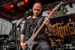 Totensucht-Boarstream-21-07-2023-MM-1895-denoised