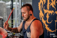 Totensucht-Boarstream-21-07-2023-MM-1974-denoised