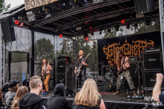 Totensucht-Boarstream-21-07-2023-MM-2005-denoised