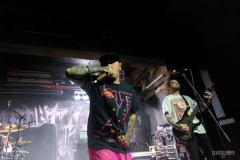 substickbsDSC_9867X-low-light