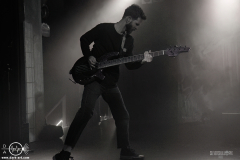 chlsg25DSC_2010X-low-light