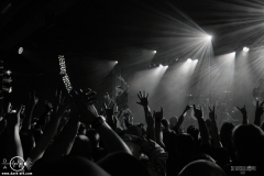 chlsg25DSC_2295X-low-light