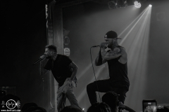 chlsg25DSC_2833X-low-light