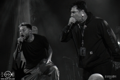 chlsg25DSC_3394X-low-light