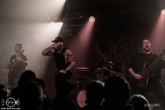 crwnmag25DSC_9255X-low-light