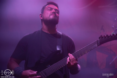 DarkO061125DSC_9223X-low-light