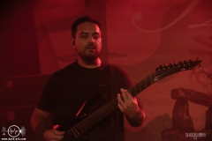 DarkO061125DSC_9362X-low-light