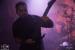 DarkO061125DSC_9394X-low-light